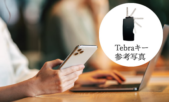 Tebraキー参考写真