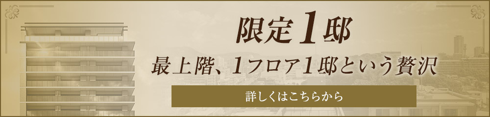 限定1邸　最上階、1フロア1邸という贅沢