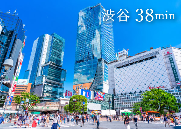 渋谷 38min