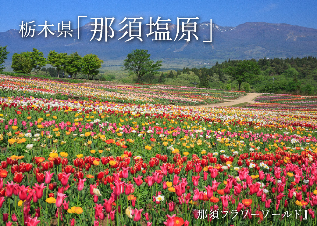 栃木県「那須塩原」　『那須フラワーワールド』