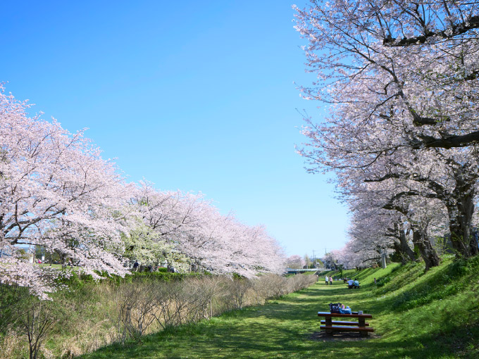 神奈川県立相模三川公園