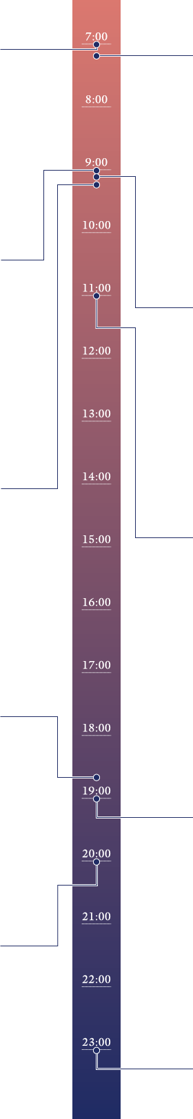 スケジュールイメージ