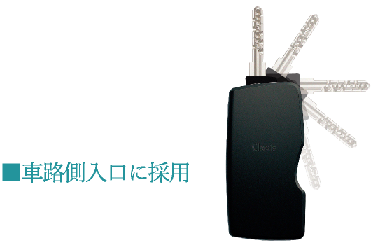 〈Tebraキー 参考写真〉