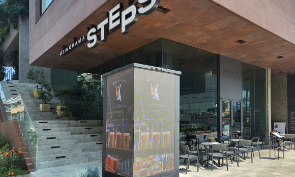 MEINOHAMA STEPS