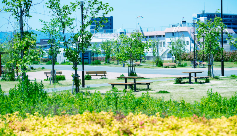正蓮寺川公園／徒歩4分（約260ｍ）