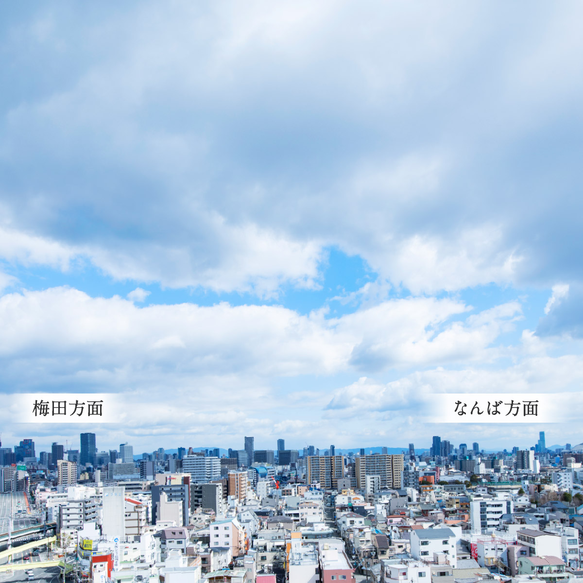 現地14階からの眺望