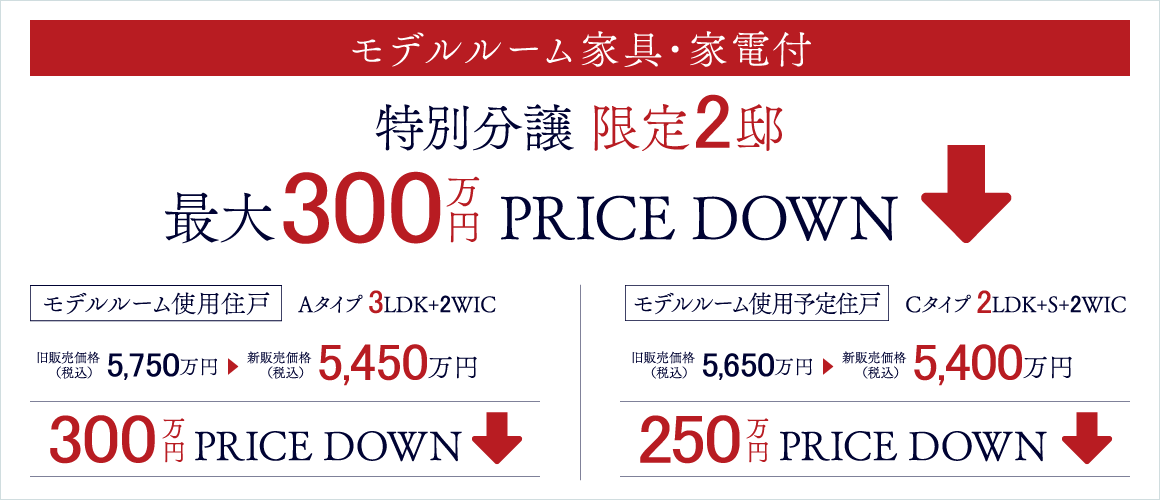 モデルルーム家具・家電付特別分譲