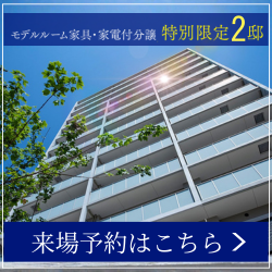 限定2邸　モデルルーム家具家電付き分譲