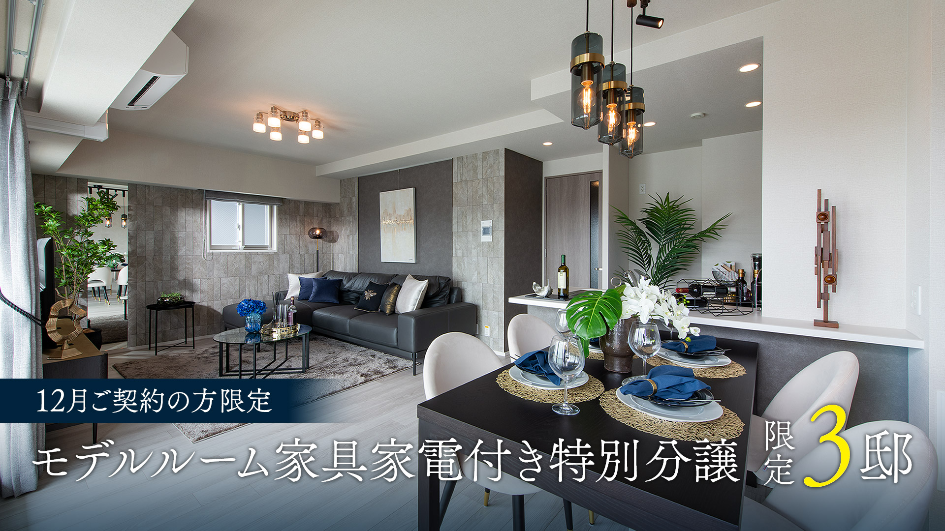 モデルルーム家具家電付き特別分譲　限定3邸