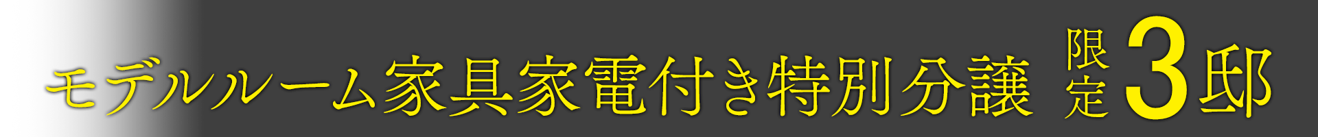 モデルルーム家具家電付き特別分譲　限定3邸