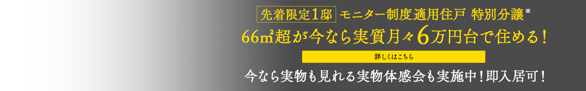 モニター制度適用住戸 特別分譲
