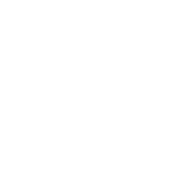 VOICE01