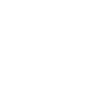 VOICE02
