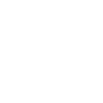 VOICE04