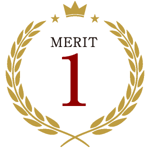 MERIT 1
