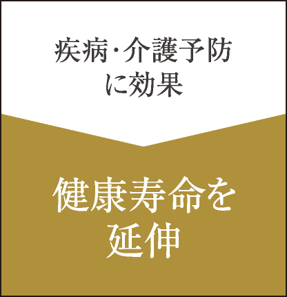 疾病･介護予防に効果　＞　健康寿命を延伸