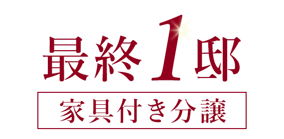 最終1邸　家具付き分譲