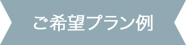 ご希望プラン例