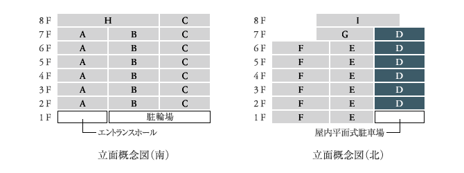 立面Dtype